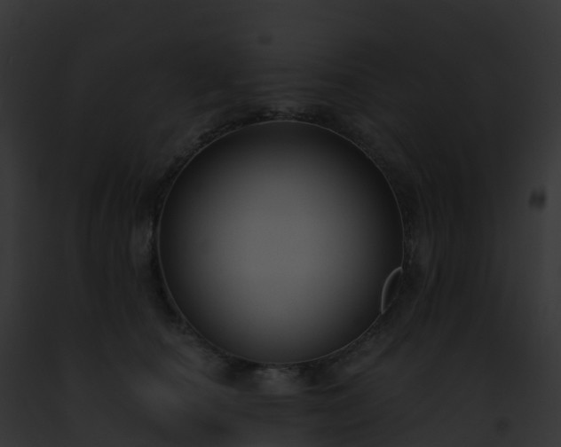 X0000093090660200710031439