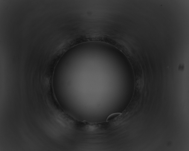 X0000093090662200710031439