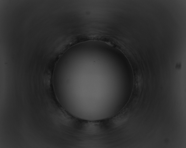 X0000093090664200710031439