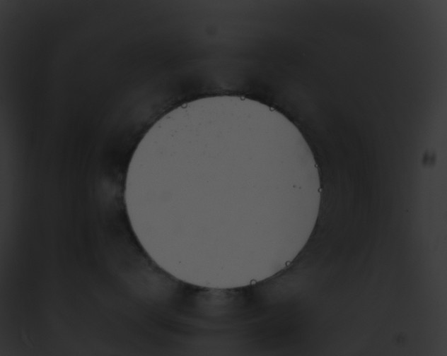X0000093090672200710031440