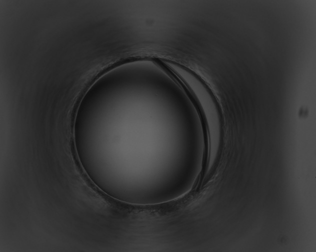 X0000093090673200710031439