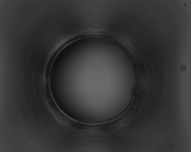 X0000093090674200710031439