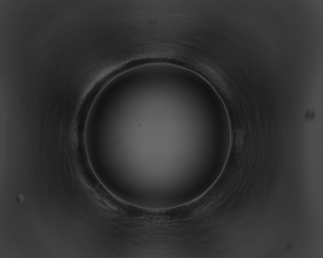 X0000093090676200710031439