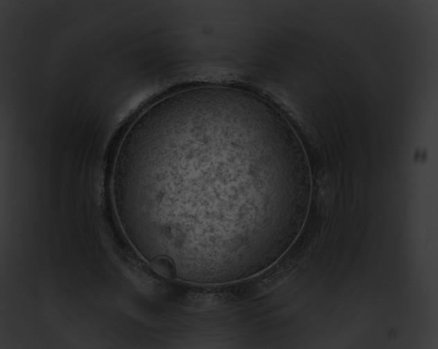 X0000093090679200710031439