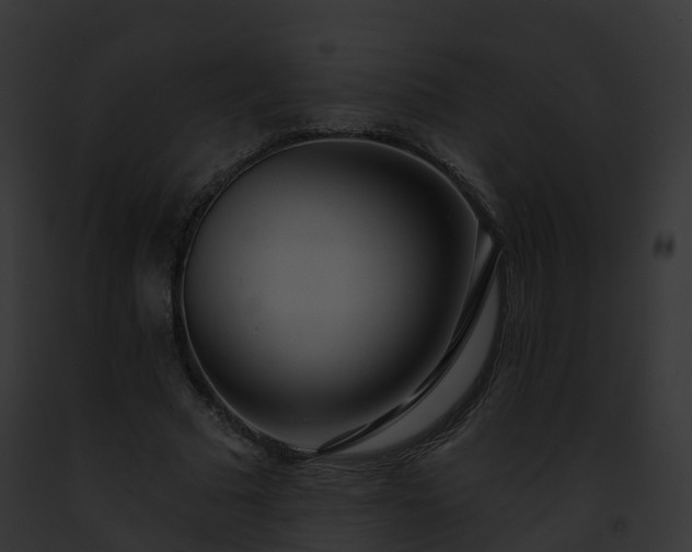 X0000093090681200710031439