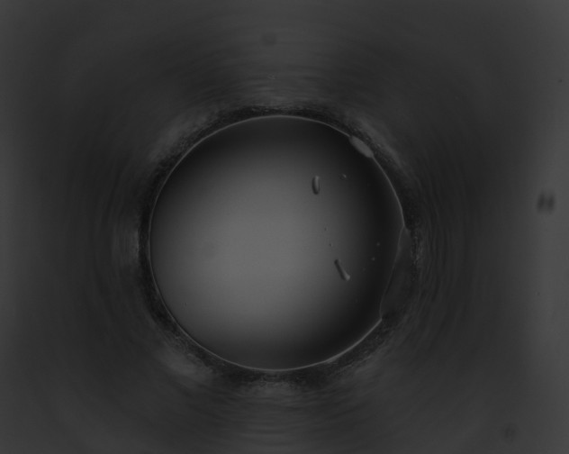 X0000093090685200710031439