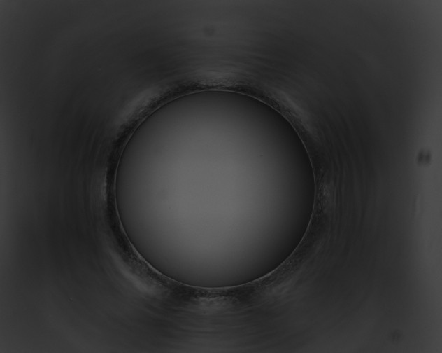 X0000093090686200710031439