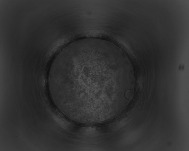 X0000093090687200710031439