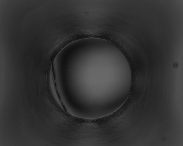 X0000093090689200710031439