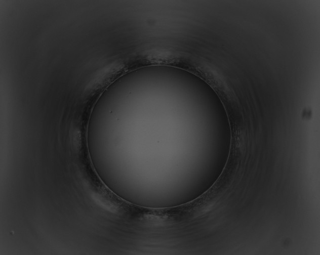 X0000093090690200710031439