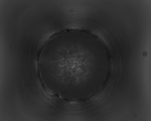 X0000093090692200710031439