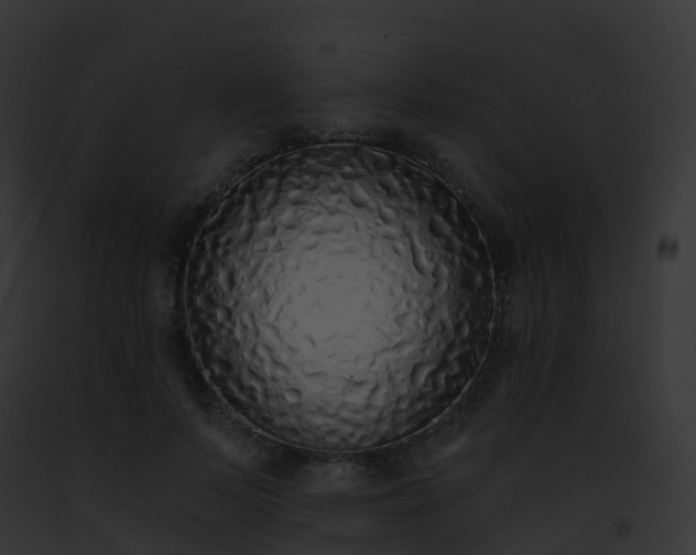 X0000093090695200710031439