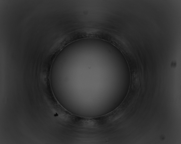 X0000093090698200710031439