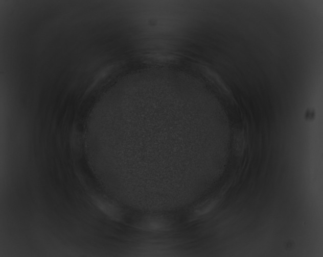 X0000093090701200710031438