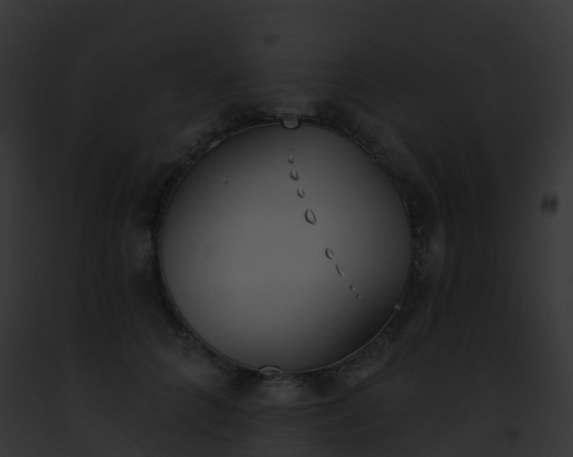 X0000093090704200710031438
