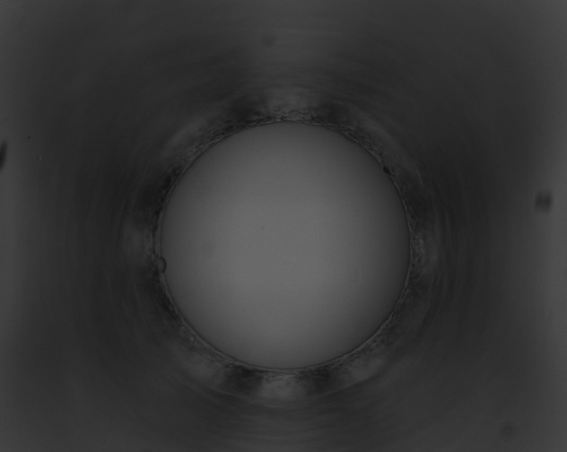 X0000093090705200710031438