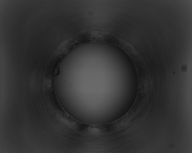 X0000093090706200710031438
