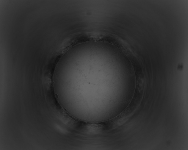 X0000093090707200710031438