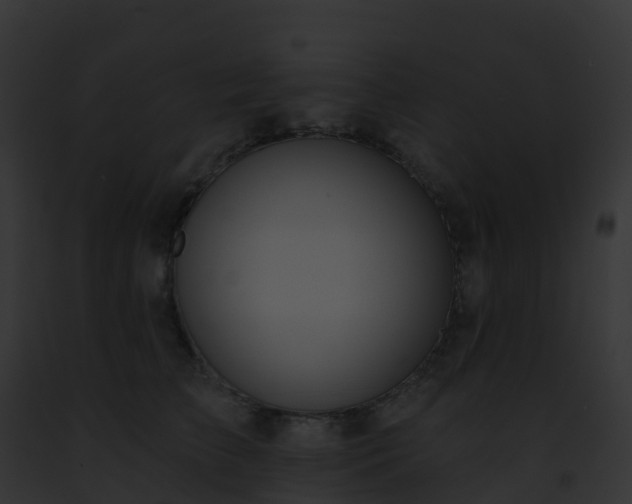 X0000093090709200710031438