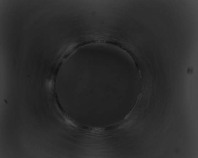X0000093090720200710031438