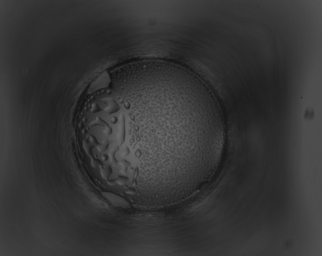 X0000093090721200710031437