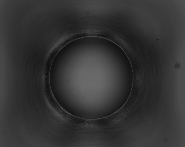 X0000093090730200710031438