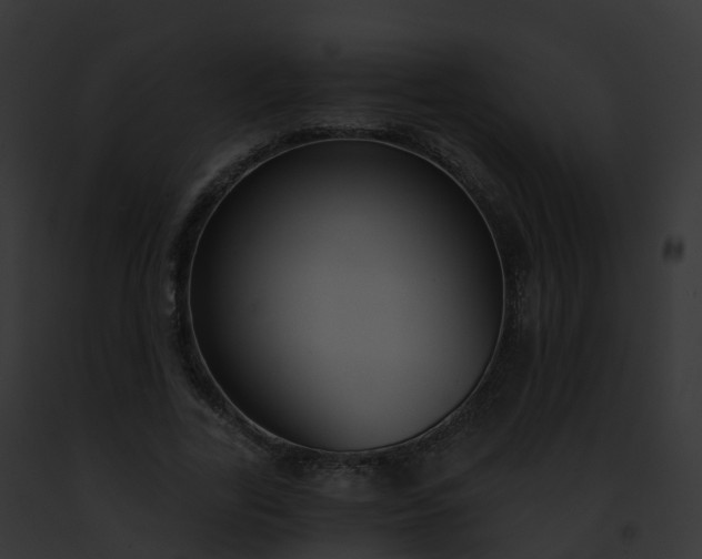 X0000093090731200710031438