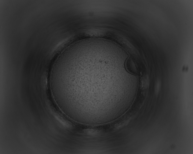 X0000093090733200710031438