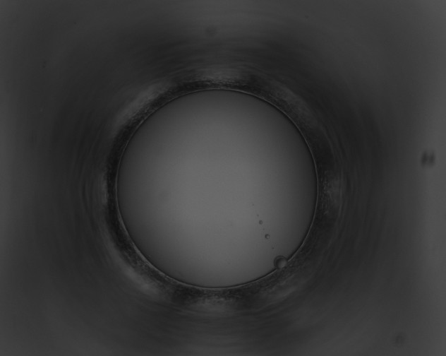X0000093090734200710031438