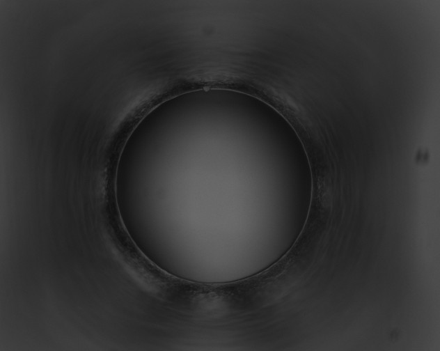 X0000093090735200710031438