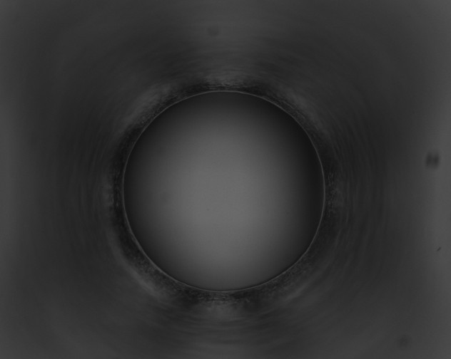 X0000093090738200710031438