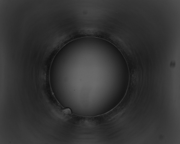 X0000093090739200710031438