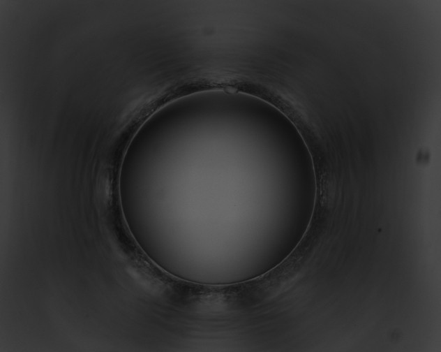 X0000093090740200710031438