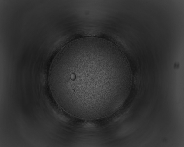 X0000093090741200710031438