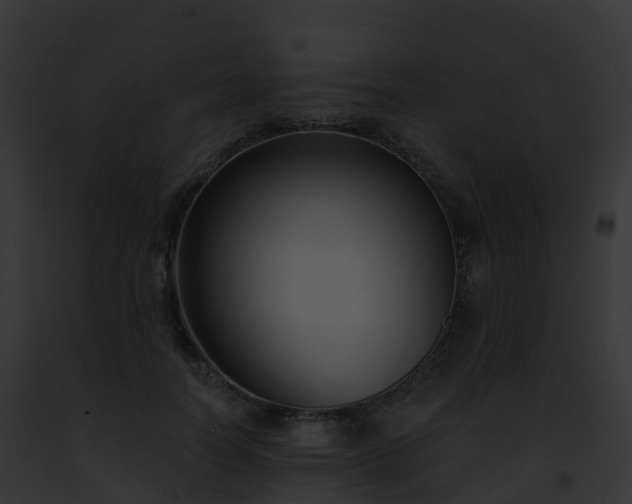X0000093090746200710031438