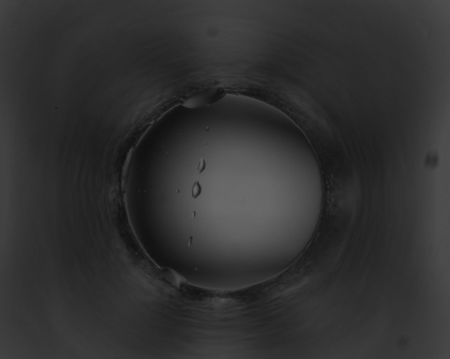 X0000093090748200710031438