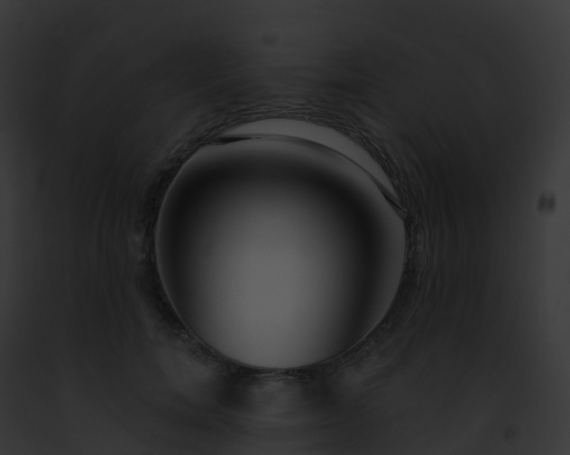 X0000093090750200710031438