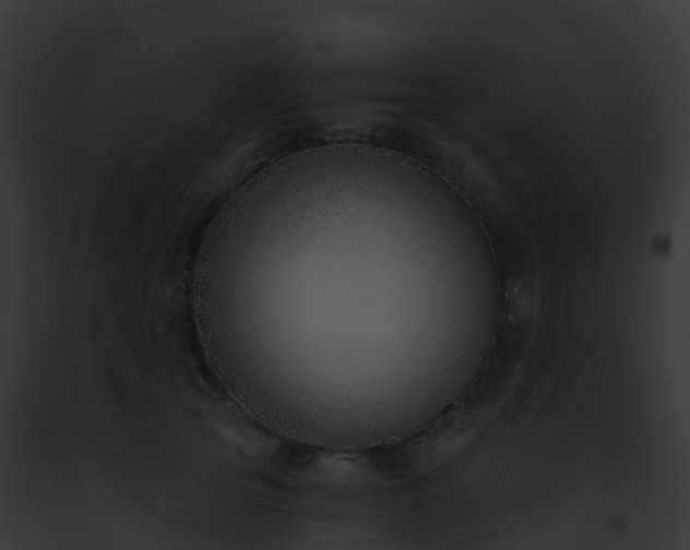 X0000093090753200710031438