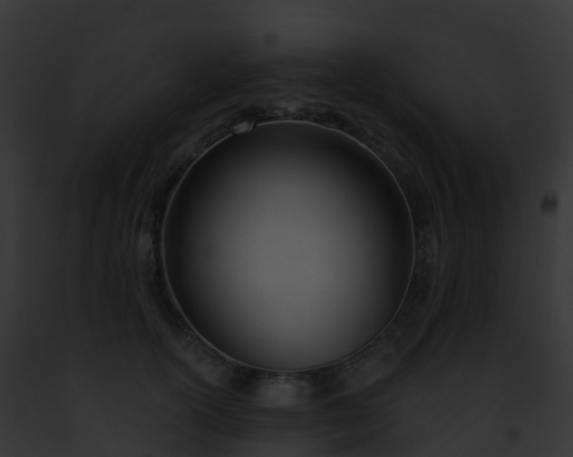 X0000093090754200710031438