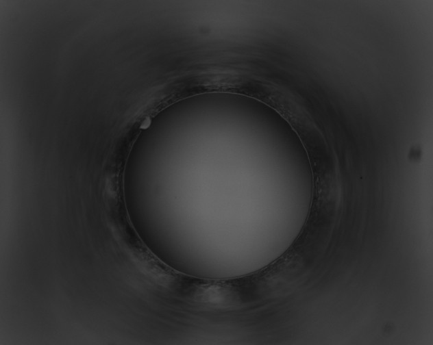 X0000093090755200710031438