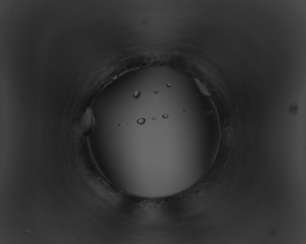 X0000093090756200710031438