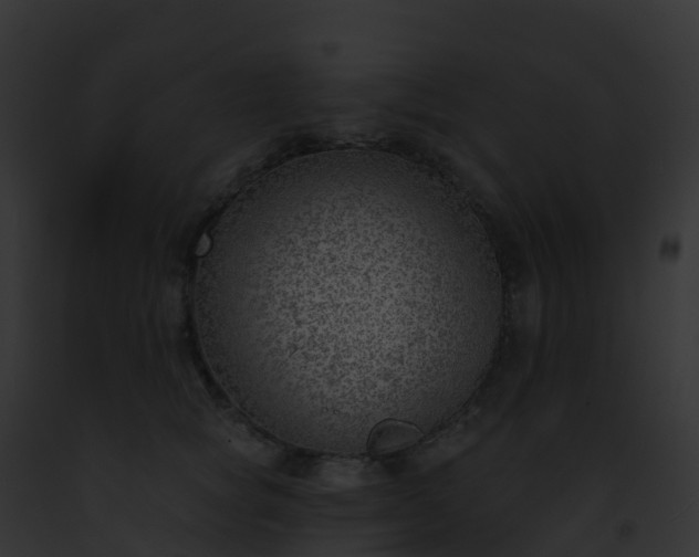 X0000093090757200710031438