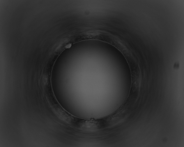 X0000093090758200710031438