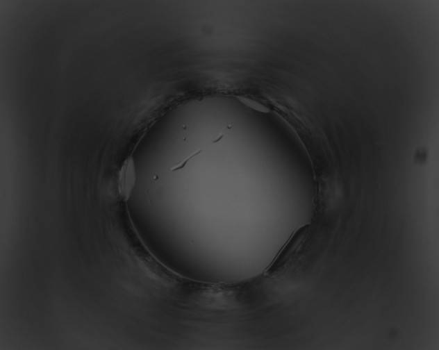 X0000093090760200710031438