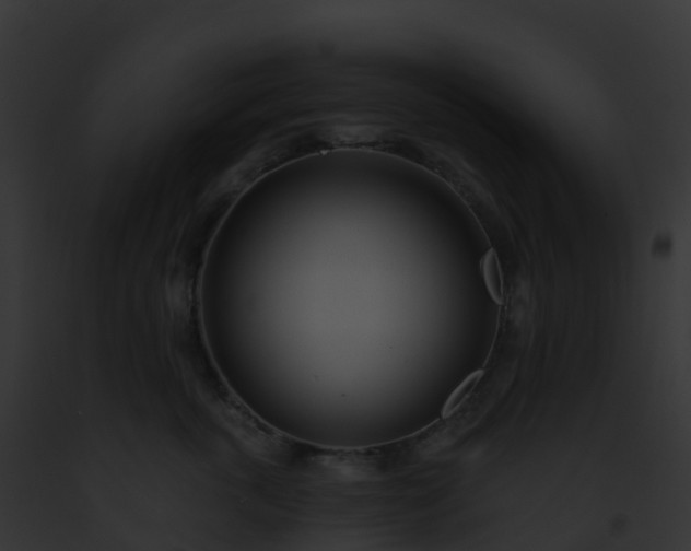 X0000093090763200710031438