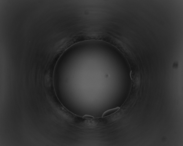 X0000093090764200710031438