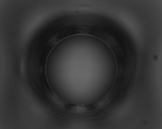 X0000093090765200710031438