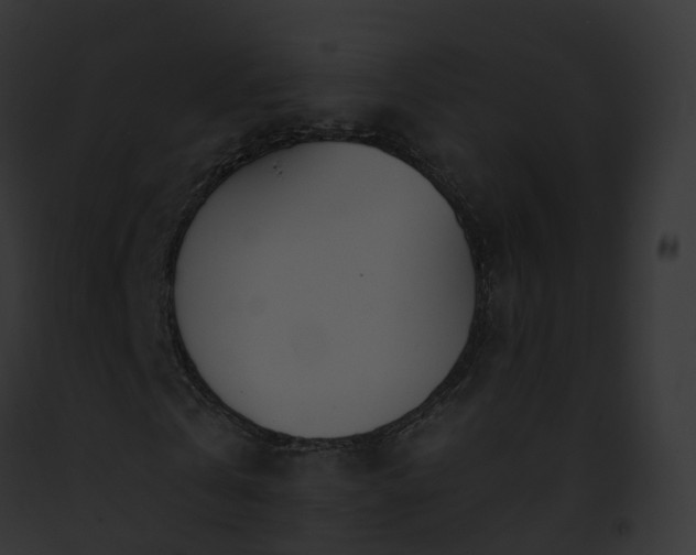 X0000093090769200710031437