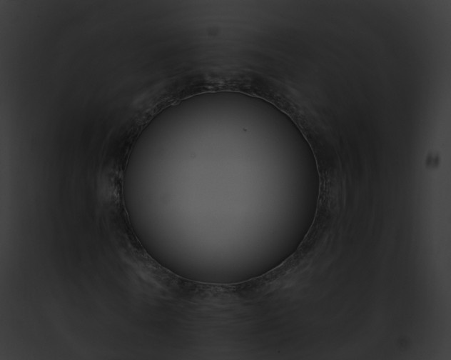 X0000093090770200710031437