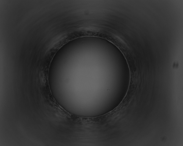 X0000093090774200710031437